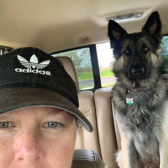 Meet your Posh Ambassador Liz - Picture 5 of 9